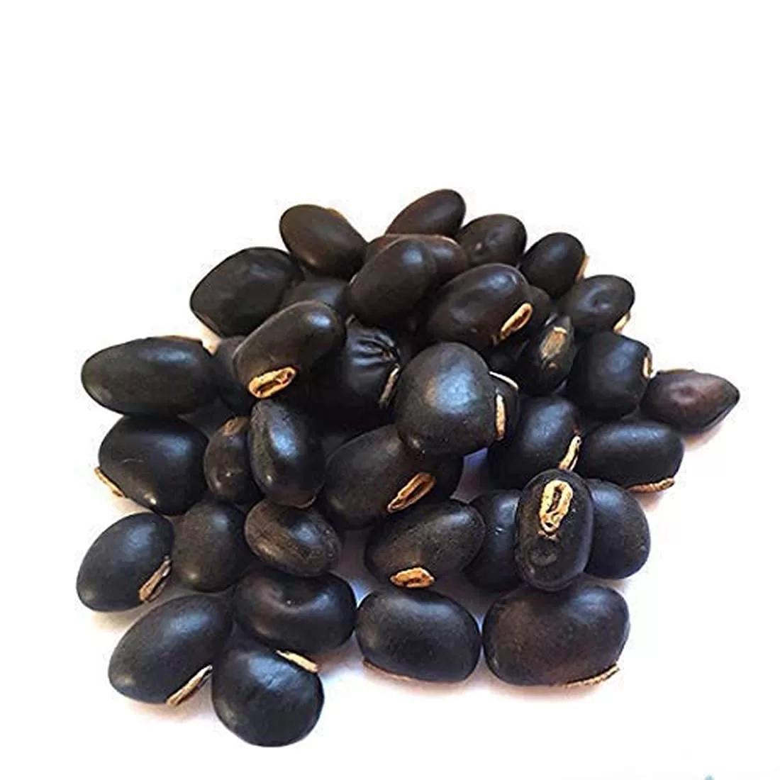 Veganic Beej Kaunch Kala | Mucuna Pruriens | Black Kaunch Seeds ...